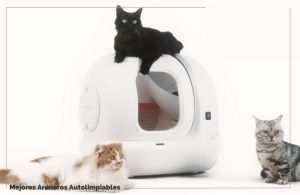 Mejores Areneros Autolimpiables Autom Ticos Top Feelcats