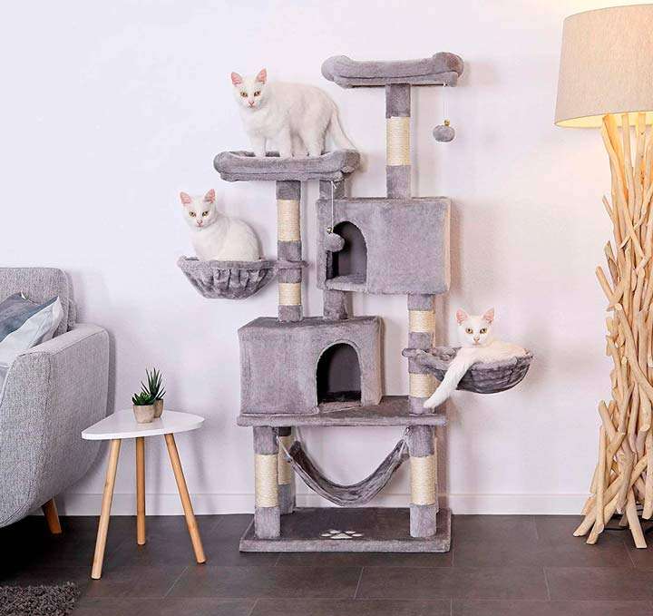 Accesorios Para Gatos Con Descuentos Top Feelcats 8490