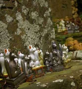 Santuario de gatos en la isla de Tashirojima