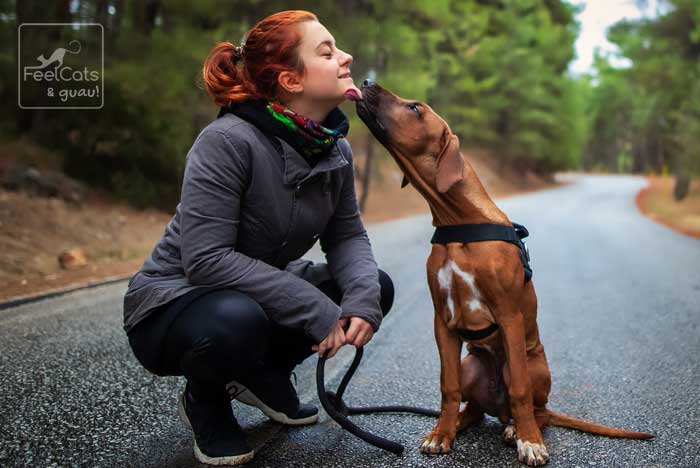 perro lamiendo a una mujer