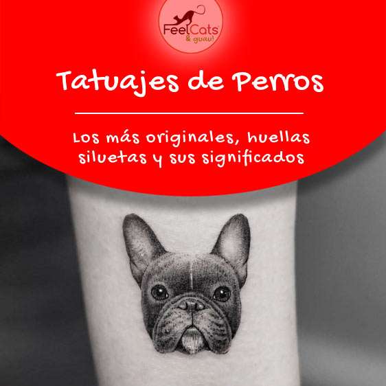 tatuajes de perros los mejores