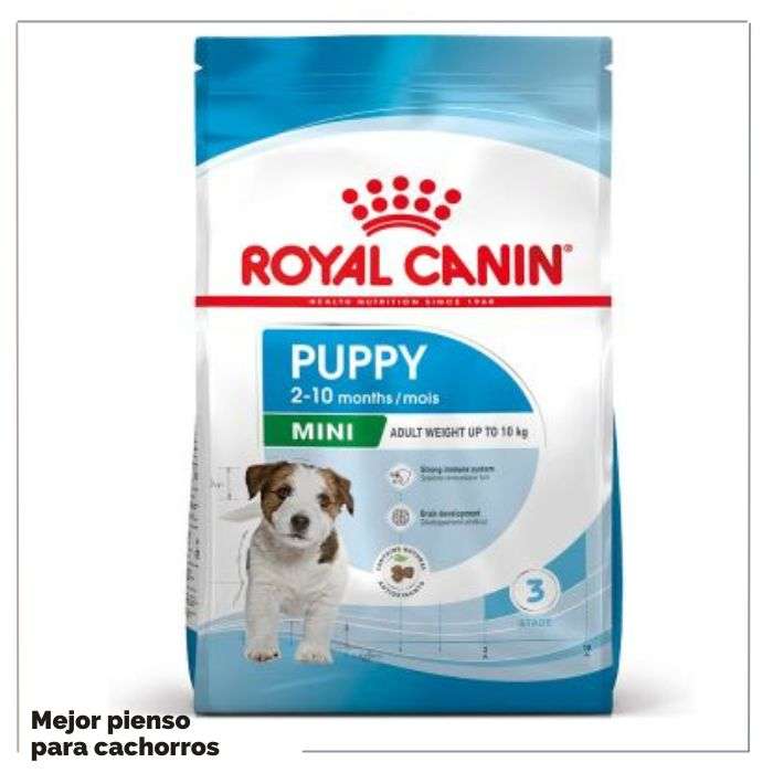 Royal Canin Puppy Mini